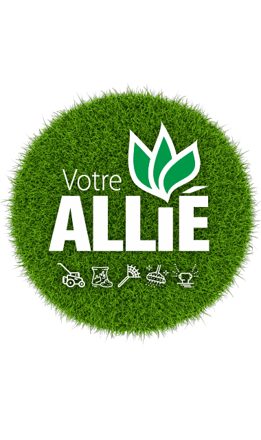 Première neige sur la pelouse